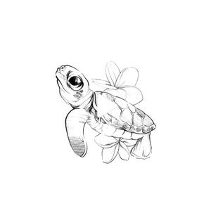 Meet your Posher, Sommer